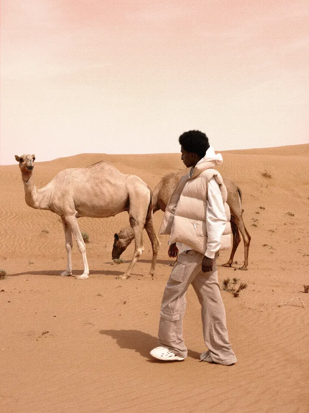 HIDDEN DESERT - 7