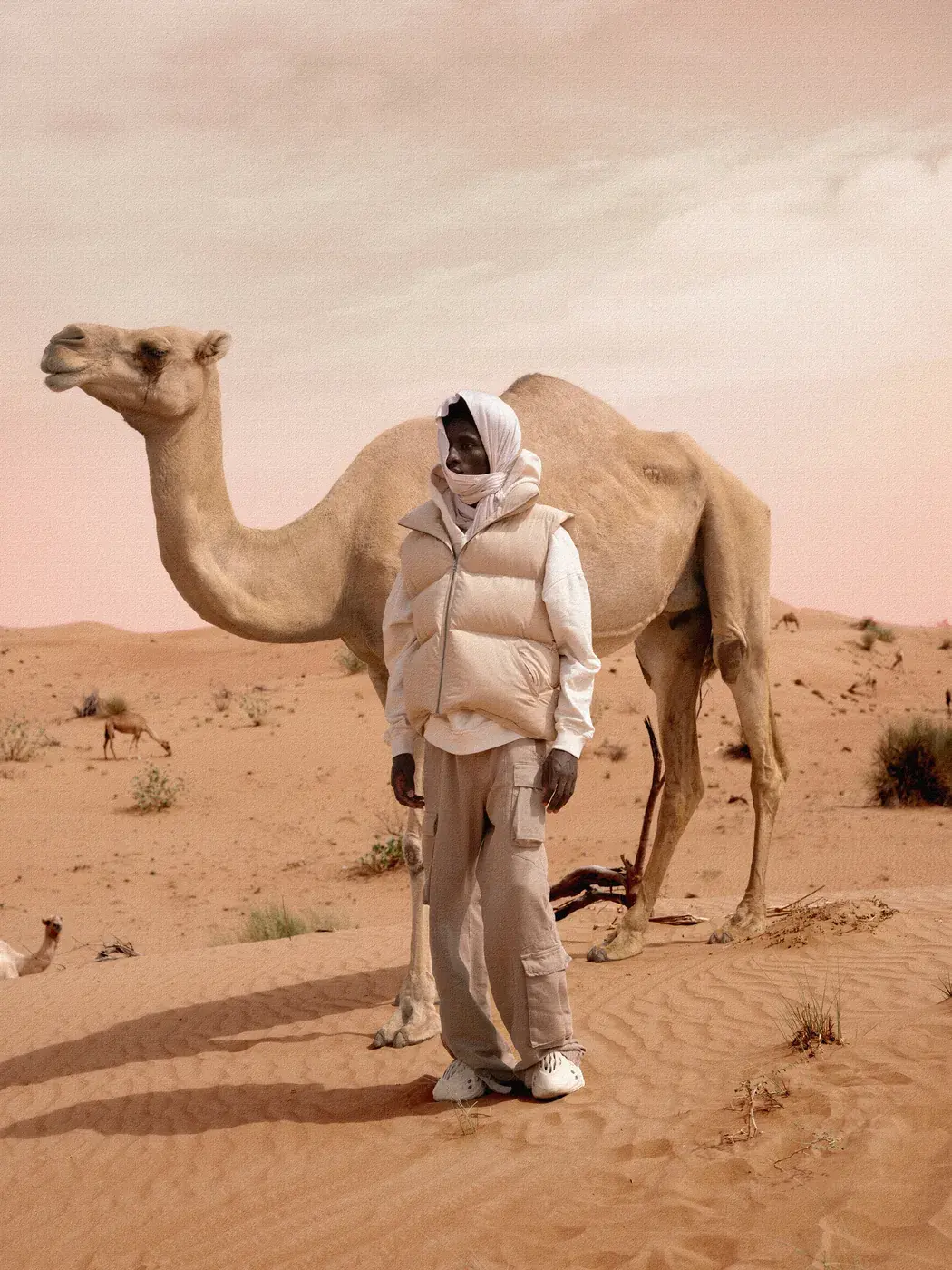 HIDDEN DESERT - 8